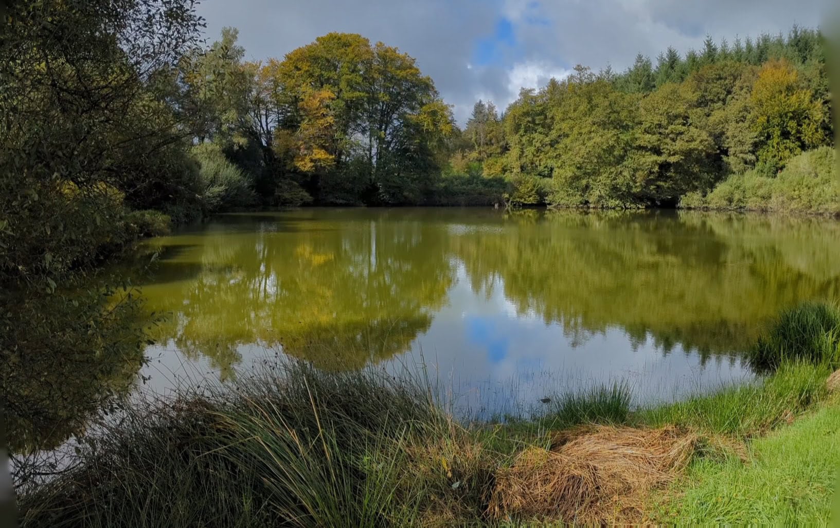 Étang de 1ha à louer dans la creuse 