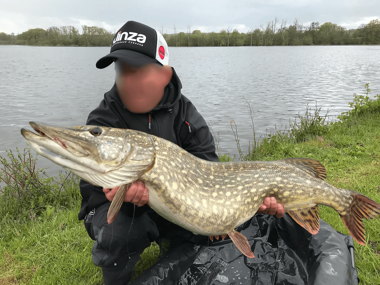 Étang de 18 ha avec gîte 4 couchages regorgeant de gros poissons 