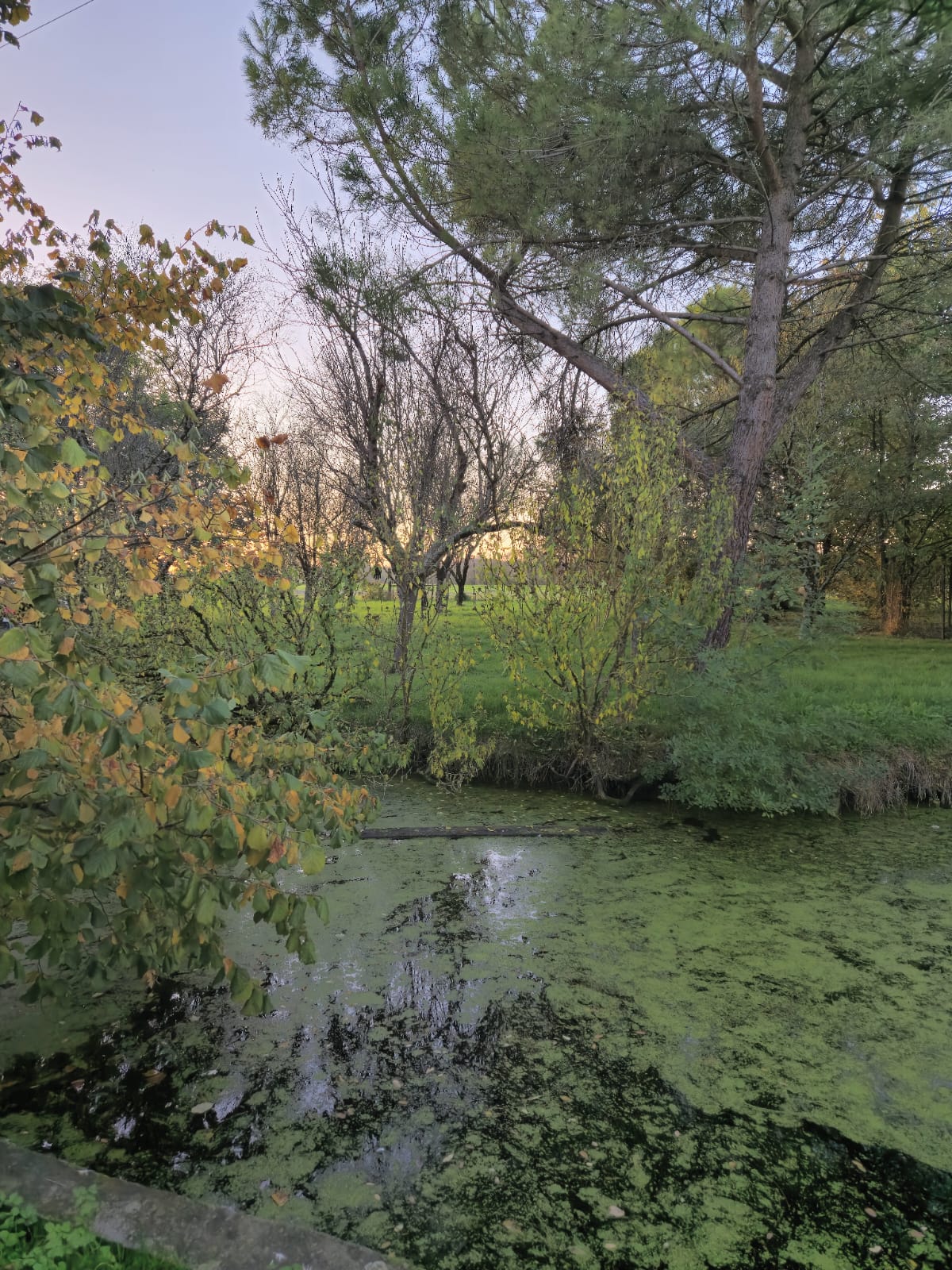 Îlot paisible, camping bivouac et pêche 