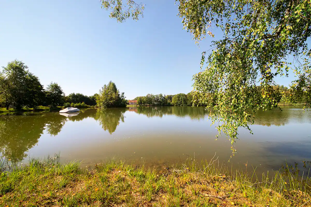 Magnifique chalet avec bain nordique et son étang de 11ha 