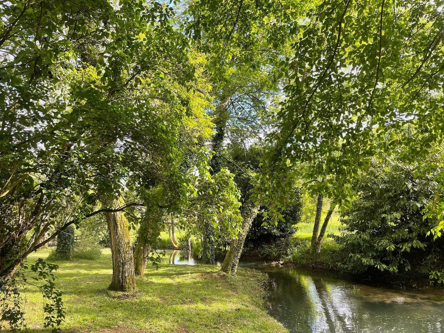 Gîte tout confort pour des vacances de rêve au cœur de la nature avec étang privé pour la pêche 