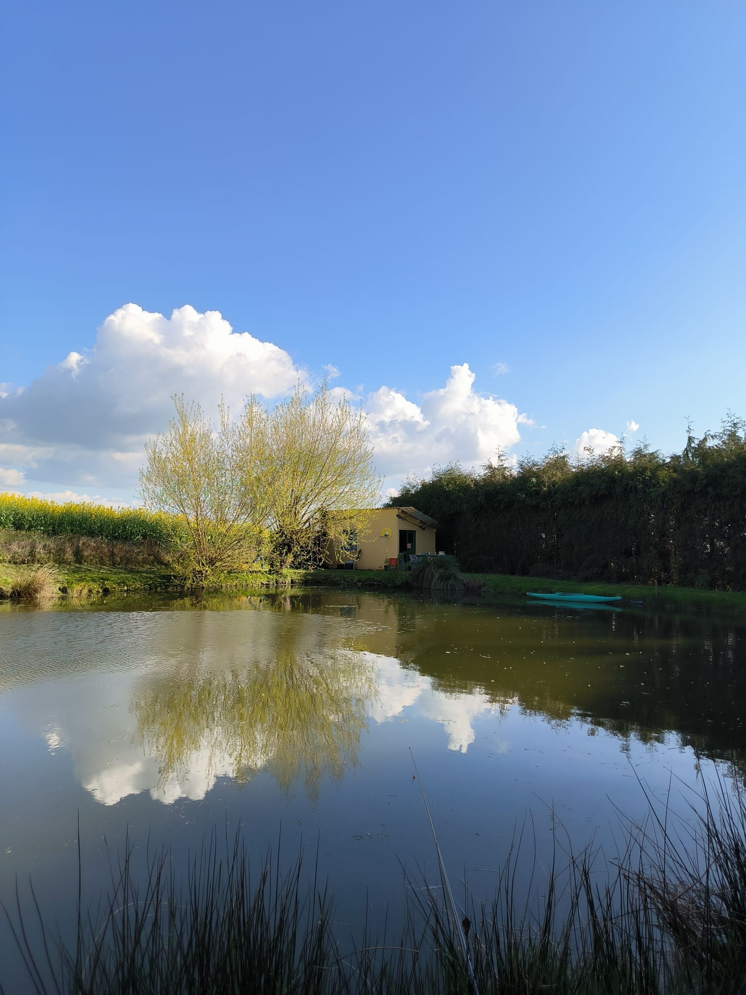 Etang de pêche clos avec petit air de jeux