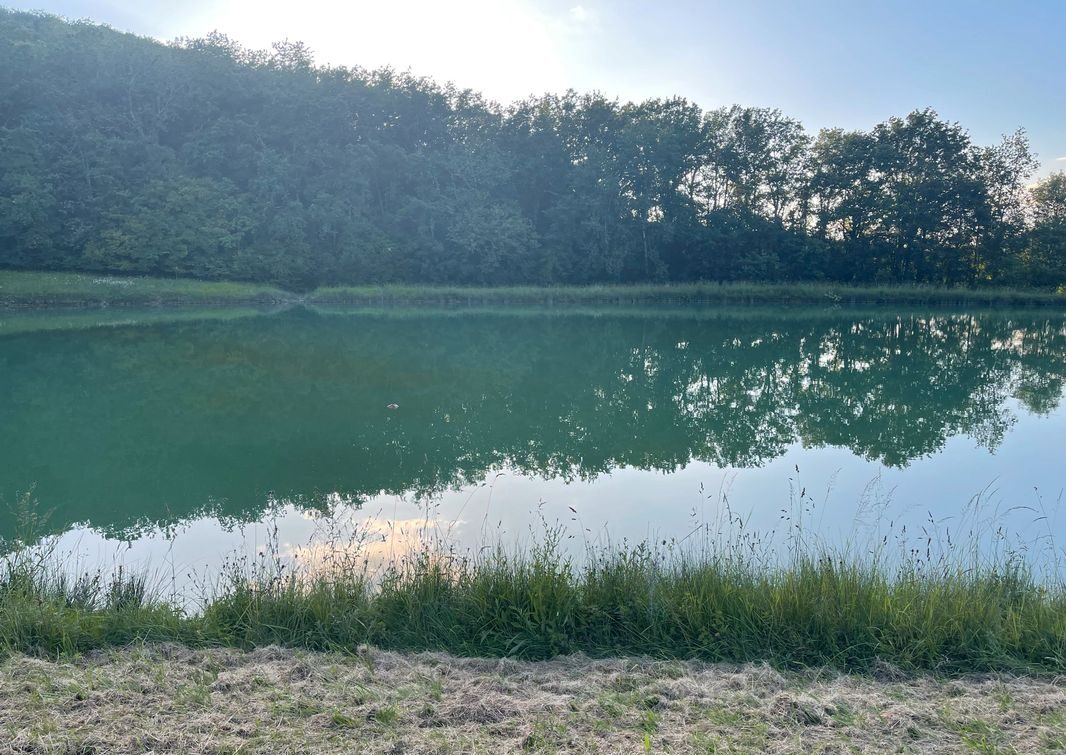 Étang d’un hectare pour camper et pêcher en No-kill dans la campagne pennoise 