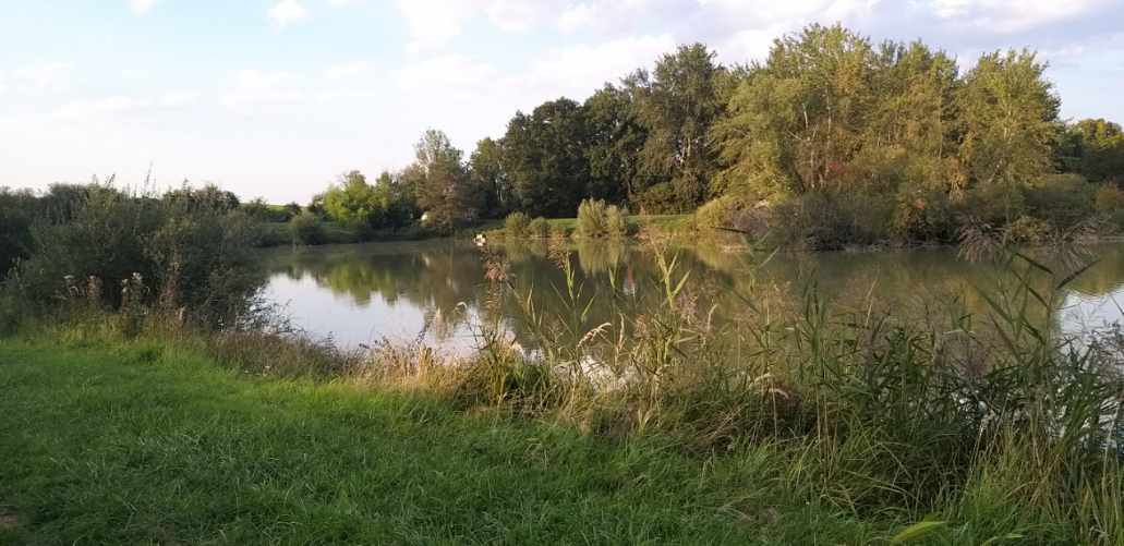 Étang de 1,1 ha au milieu de la nature 