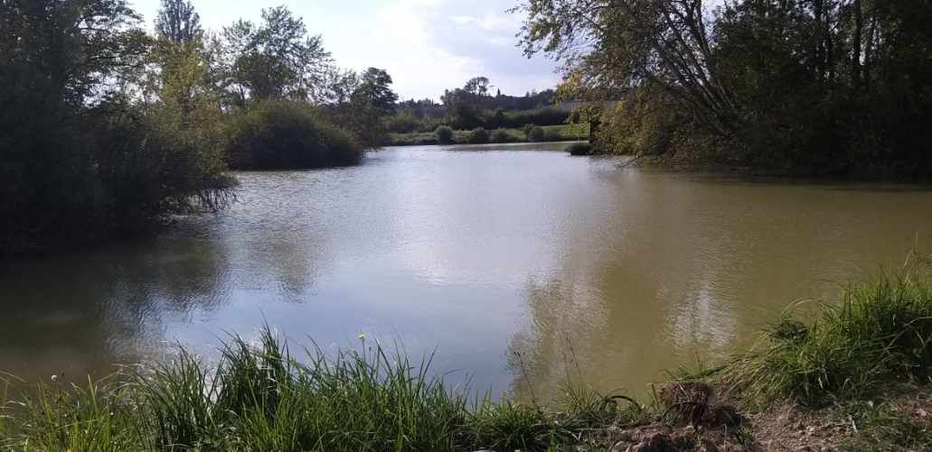 Étang de 1,1 ha au milieu de la nature 