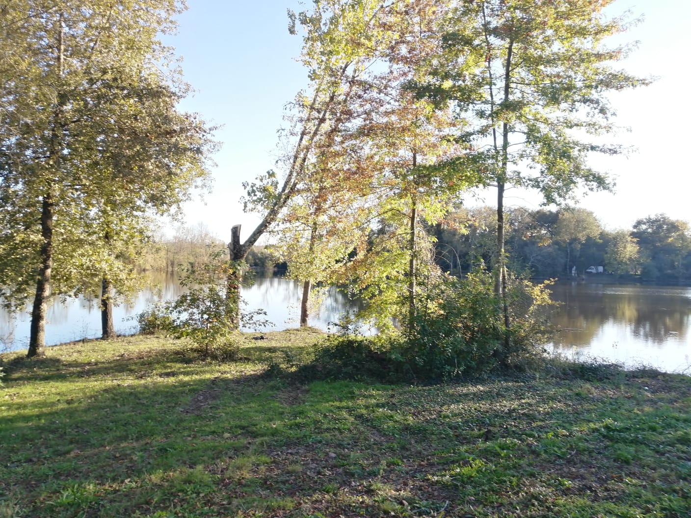 Deux étangs de 3ha à louer dans les Landes 