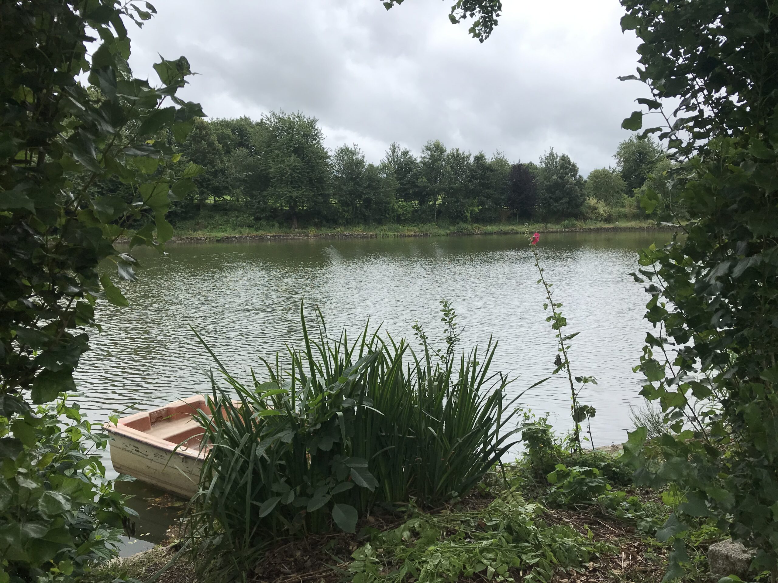 Etang de 1 ha pour camper et pêcher 