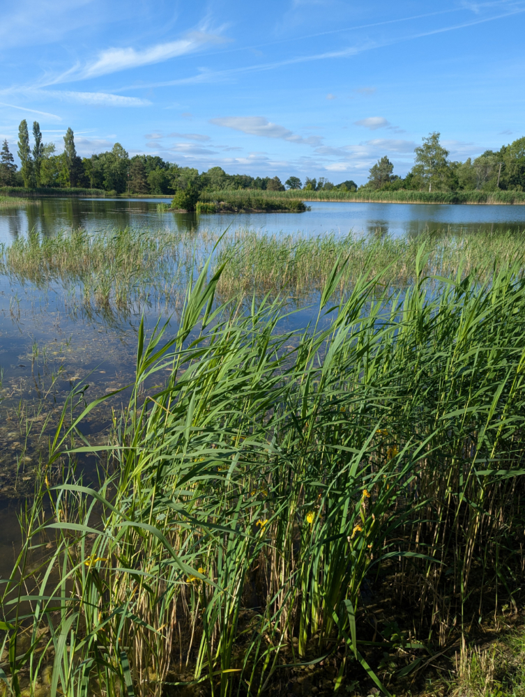 3 hectares d’étangs pour une journée familiale et camping en pleine nature
