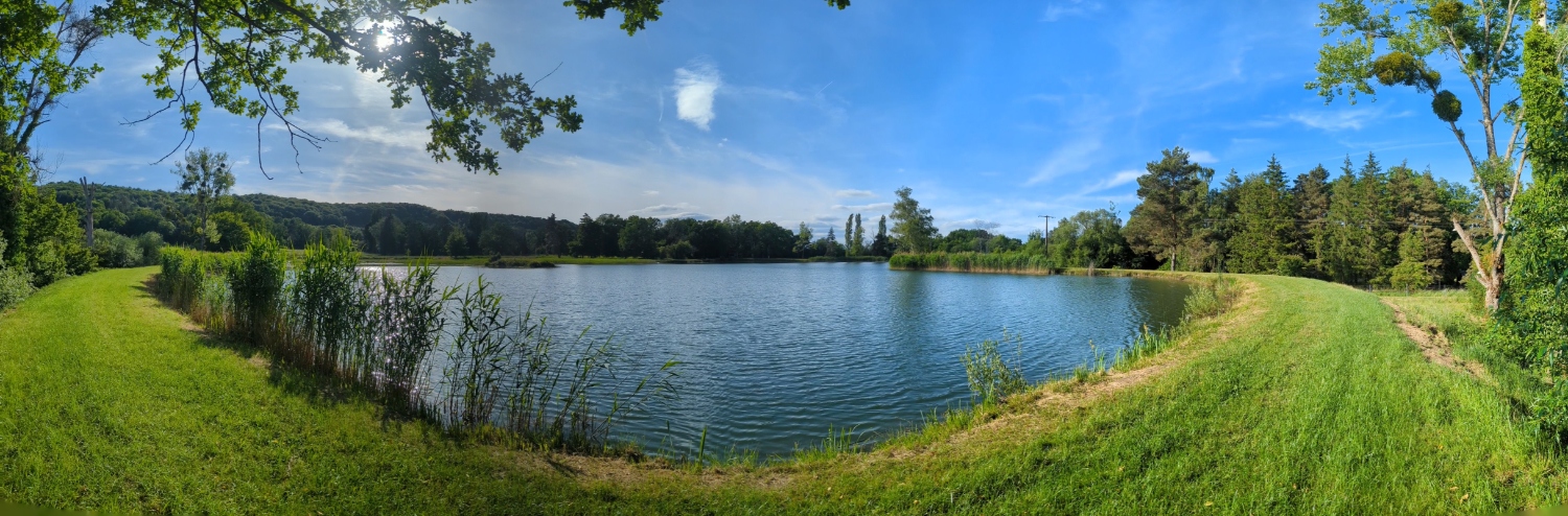 3 hectares d’étangs pour une journée familiale et camping en pleine nature