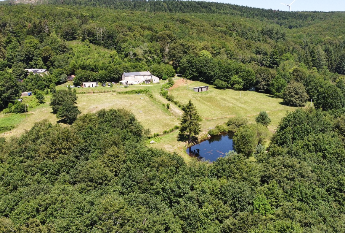 Maison de montagne avec son lac privé 
