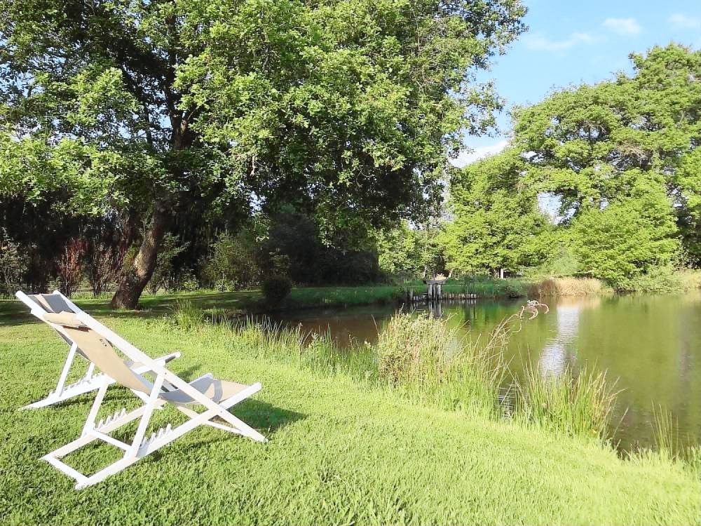 Gîte sologne avec étang privé et jardin 