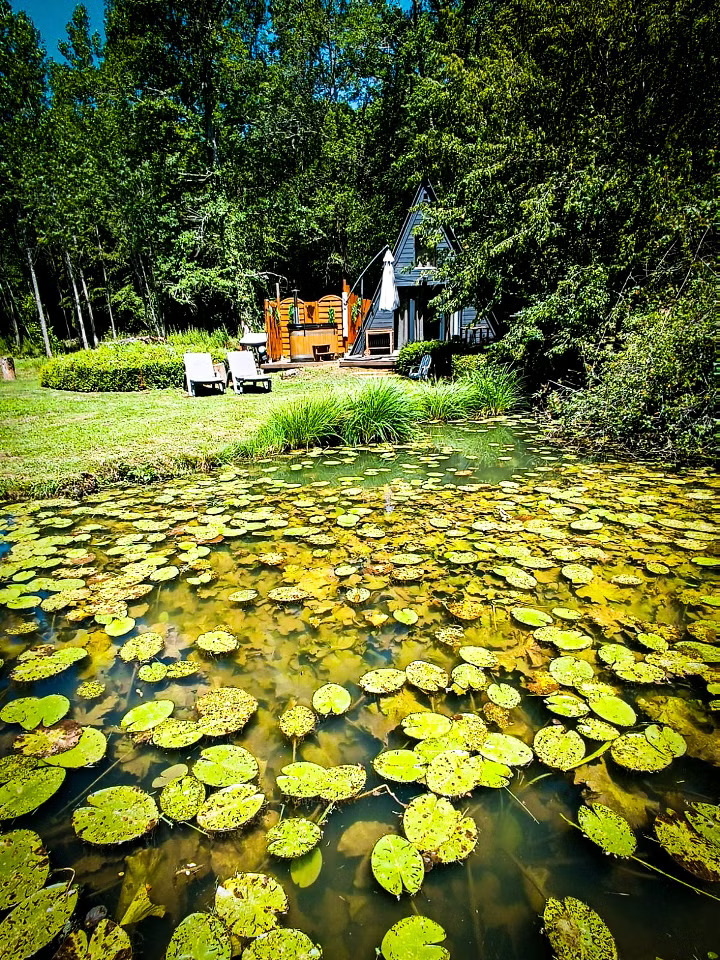 Chalet avec bain nordique au bord d’un étang de pêche 