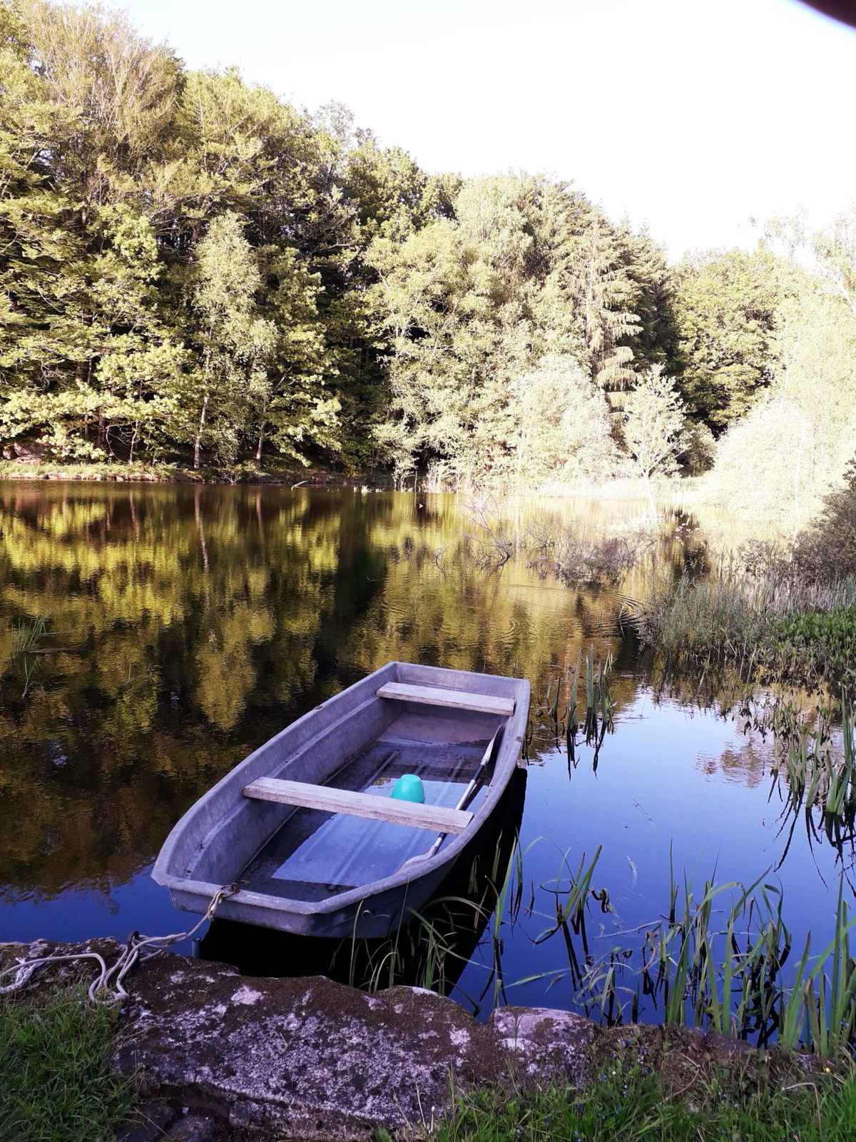 Cabane de l’explorateur au bord de l’étang pour une évasion authentique en pleine nature 