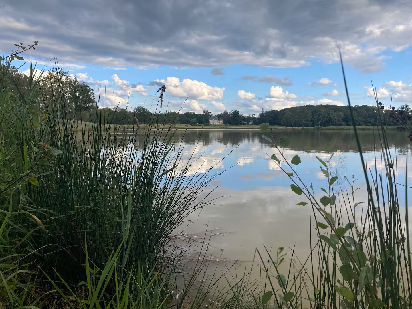 Location étang pour la pêche de 5ha