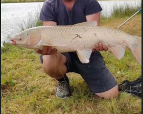 Location étang pour la pêche de 5ha