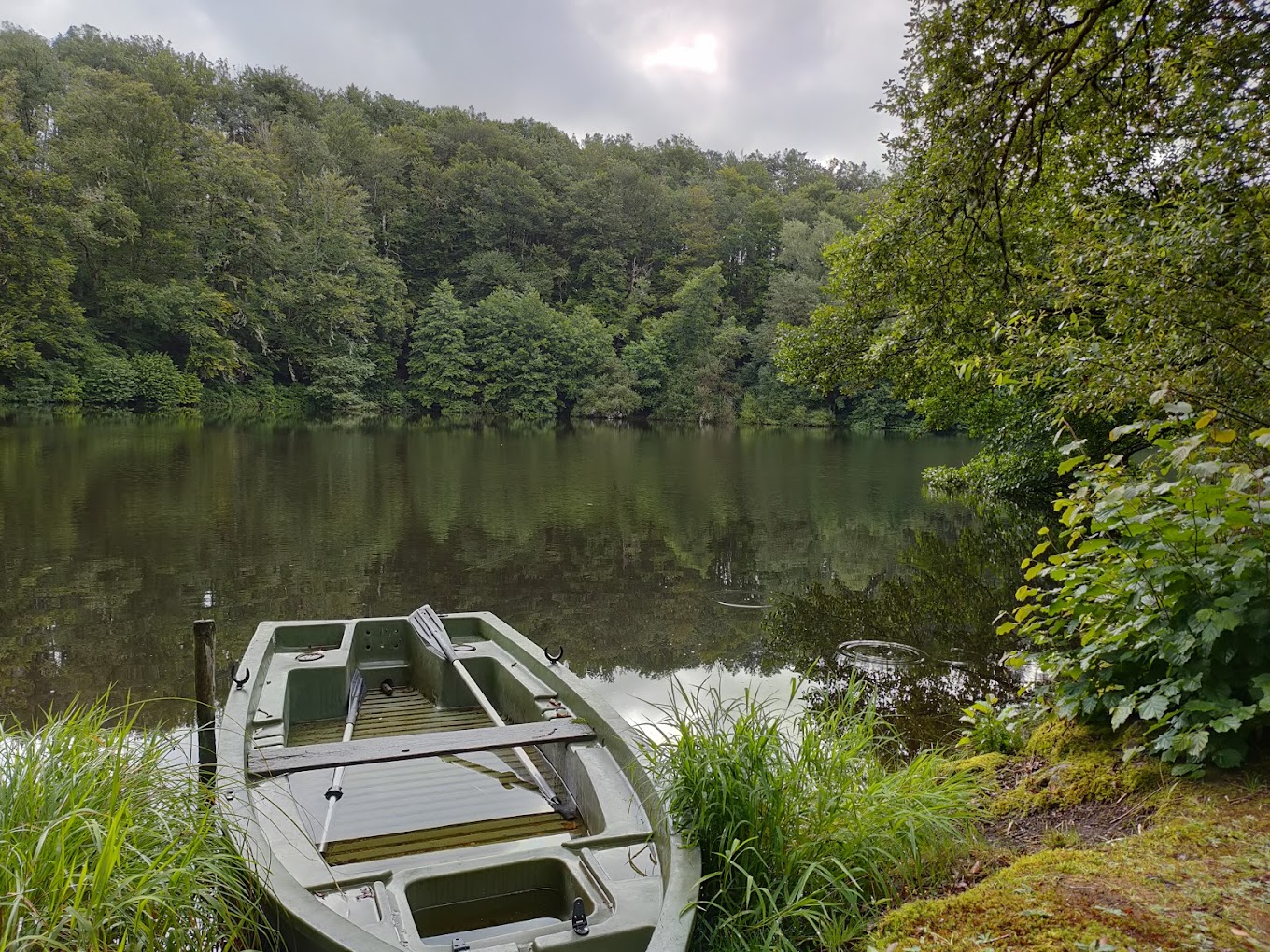 Appartement 2 chambres, étang et balades en forêt privée 