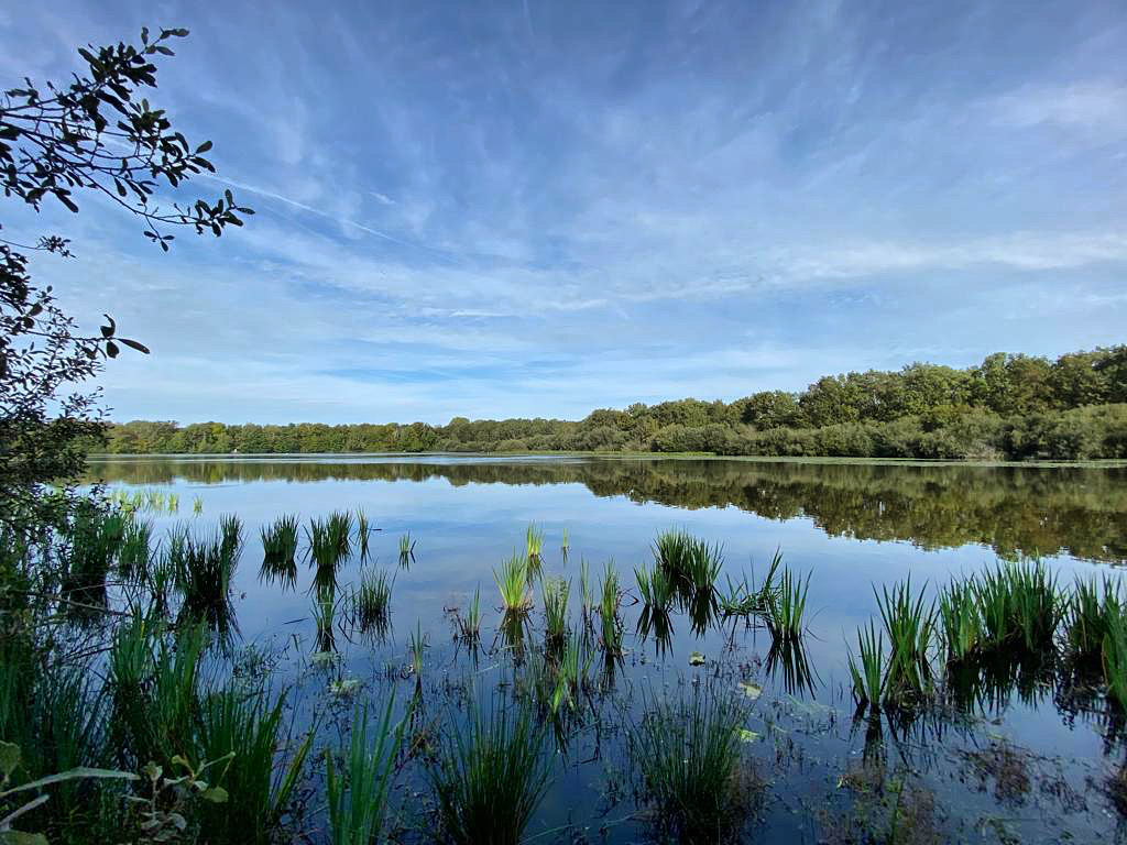 Location étang de 3ha pour un weekend en famille au bord de l’eau 