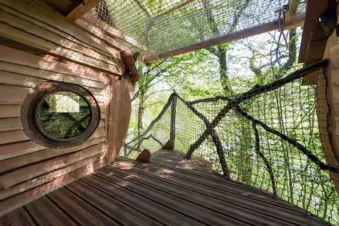 Escapade au milieu des arbres 
