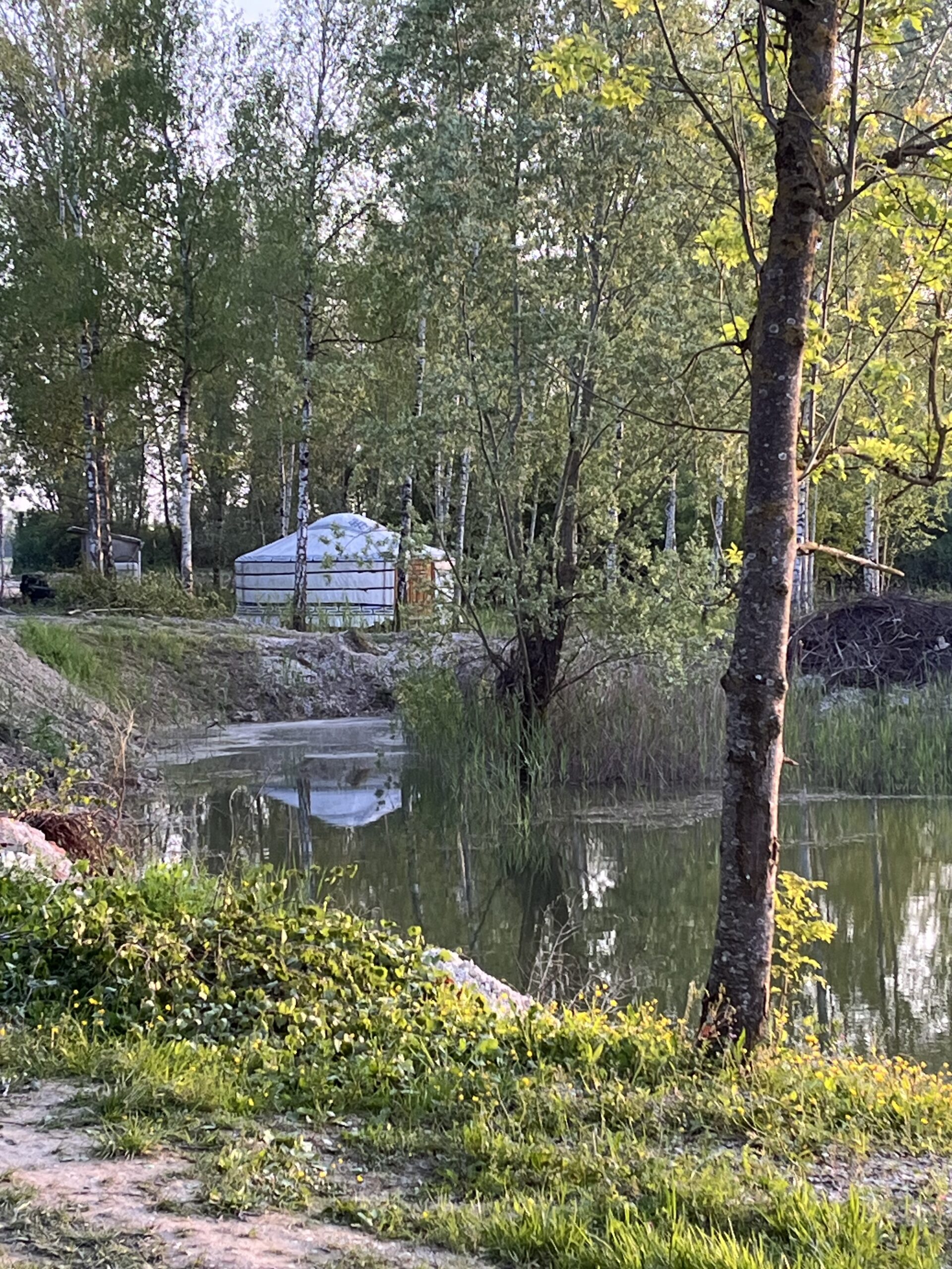 Étang avec yourte aménagée et forte population de poissons! 