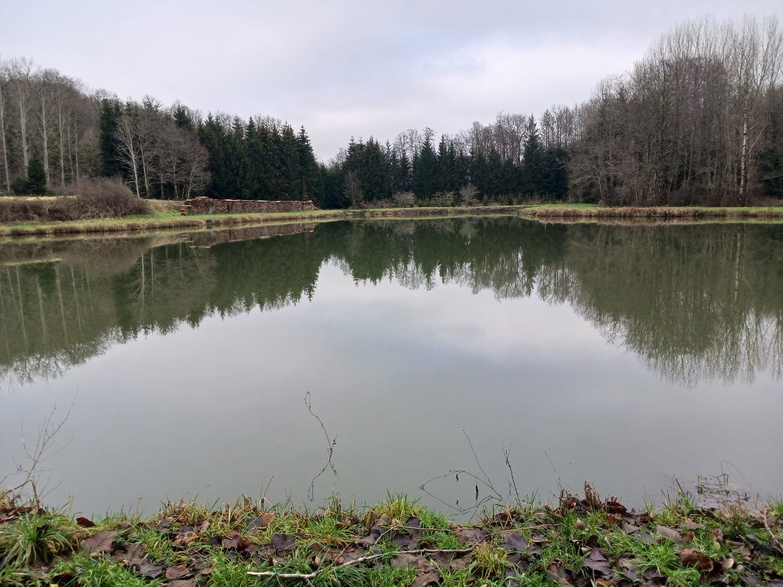 Etang de 2ha à côté de la frontière Belge 