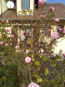 Location gîte pour un séjour ressourçant en pleine nature 