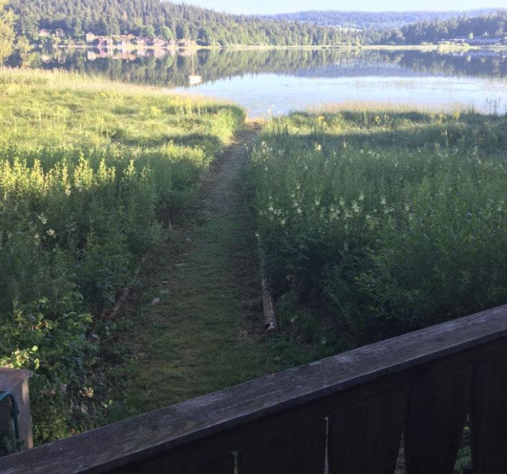 Chalet avec accès privatif au bord du lac 