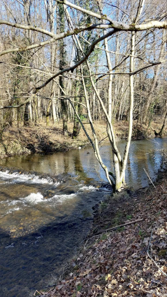 La cabane au fil de l’eau 