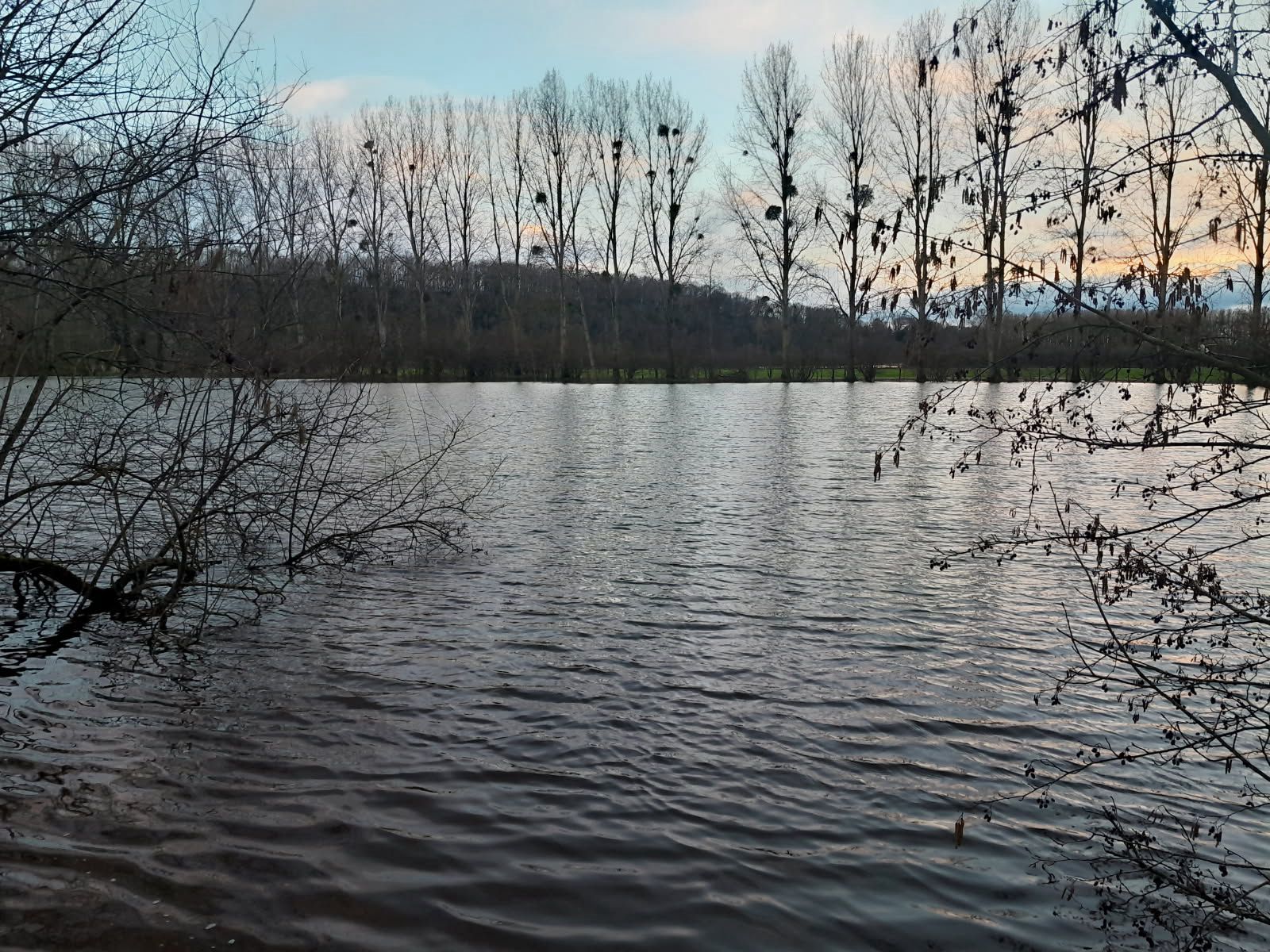 Gravière de 1,7ha avec une forte population de poissons! 