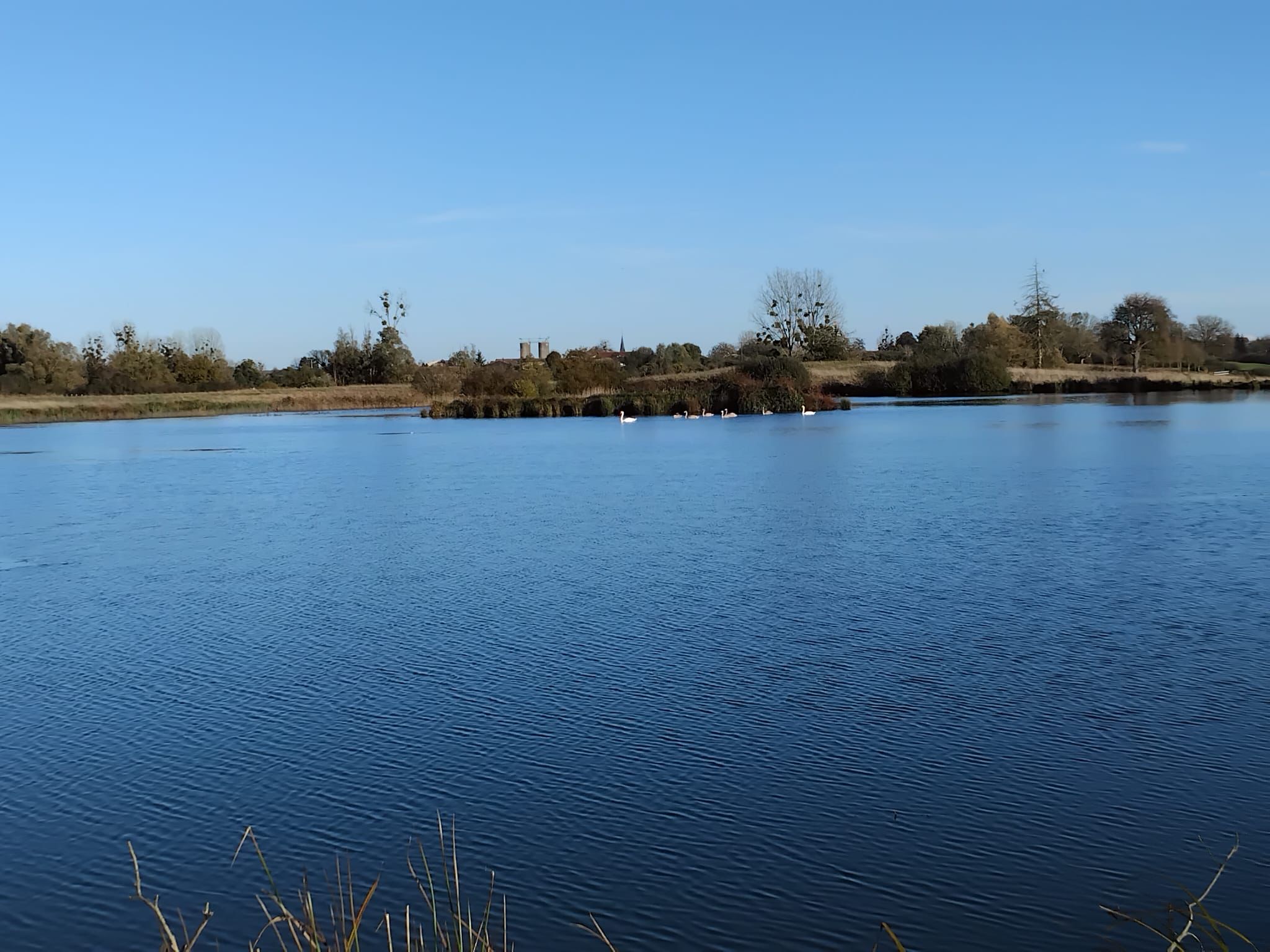 Deux étang de 5ha et 1ha à louer pour pêcher 