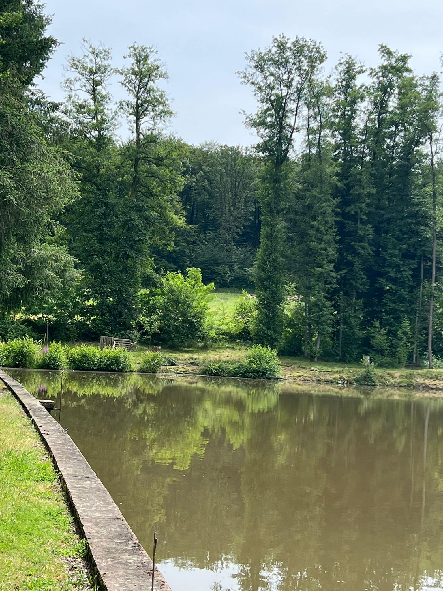 Petit coin de paradis à Fougerolles Saint Valbert en Haute-Saône 