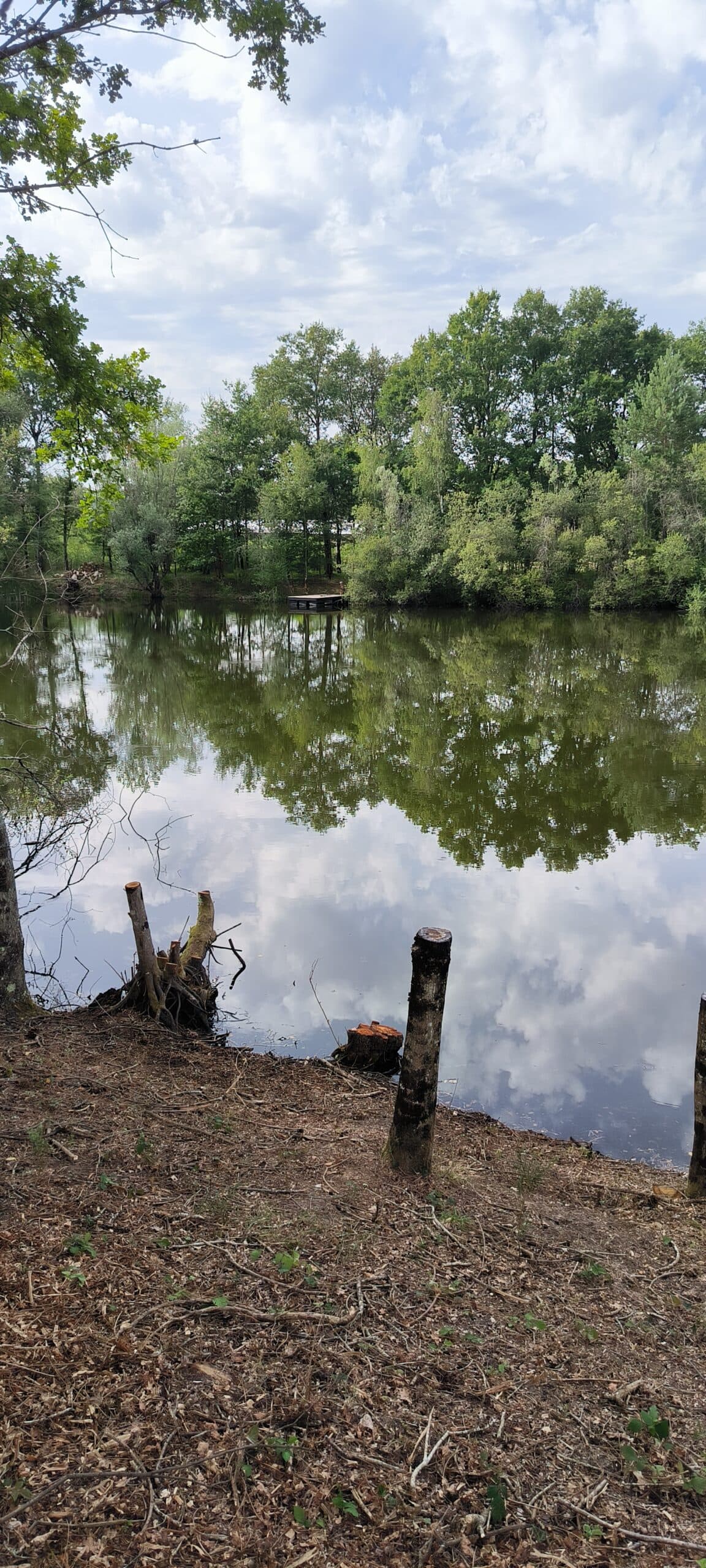 privatisation du petit étang de 2ha un endroit rêvé pour pêcher et camper 