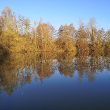 Deux étangs de 3.5ha avec un coup de pêche en rivière à louer dans la Vienne 