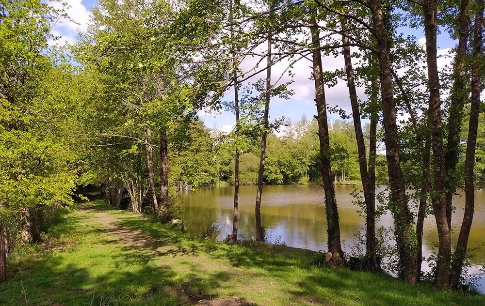 Etang dans le limousin typé Fisherie 1.2 ha 