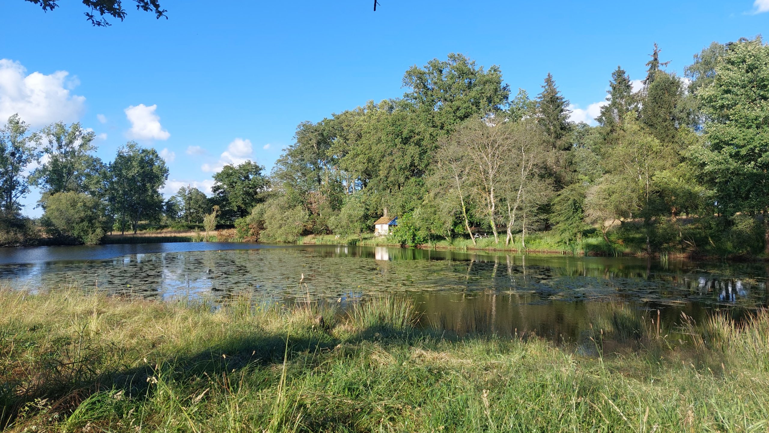 Étang sauvage de 1 ha sur 3 ha de tranquillité avec cabane 