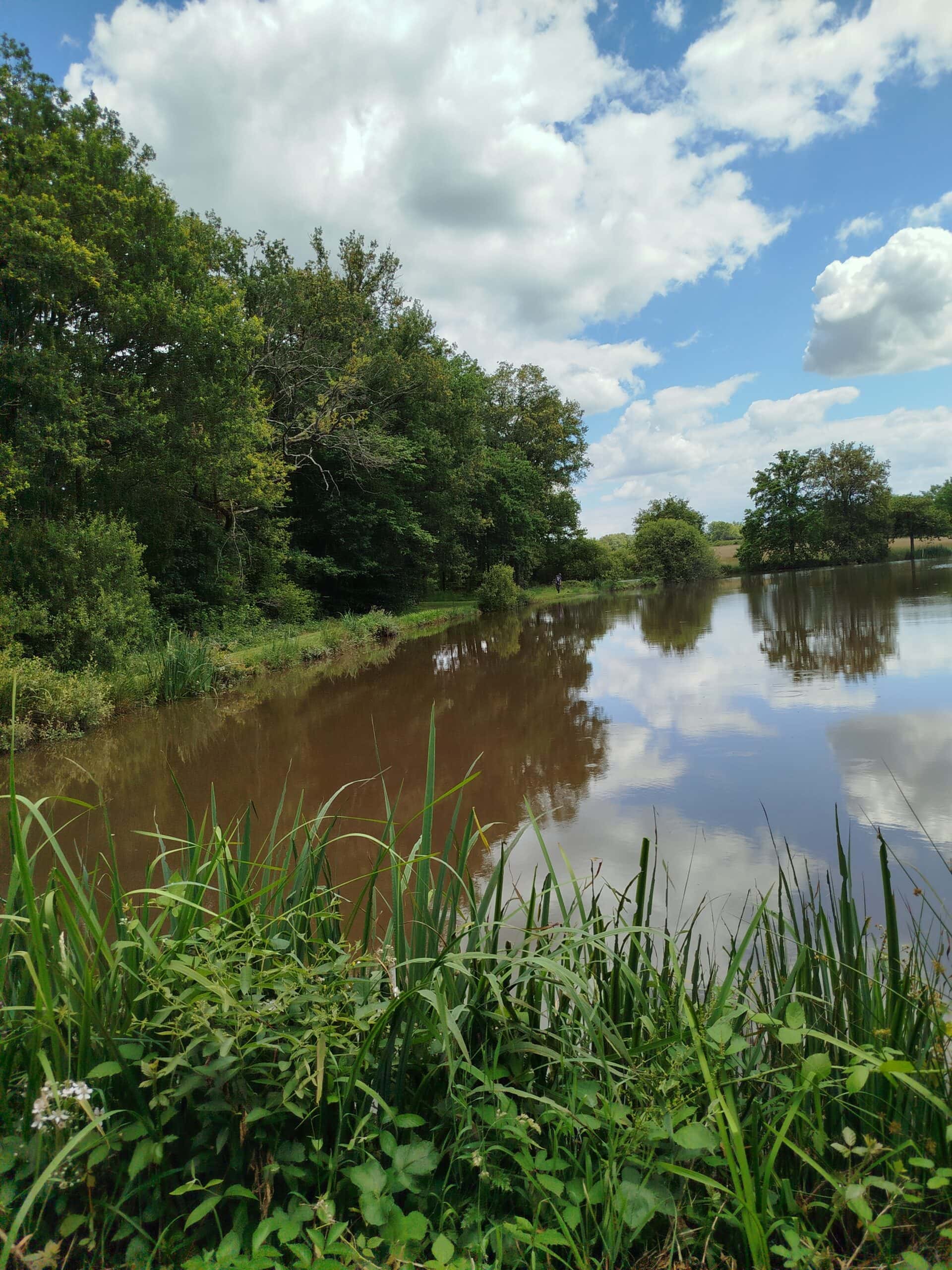 L’étang de la chevrine 1.6ha pour une bonne journée de pêche 