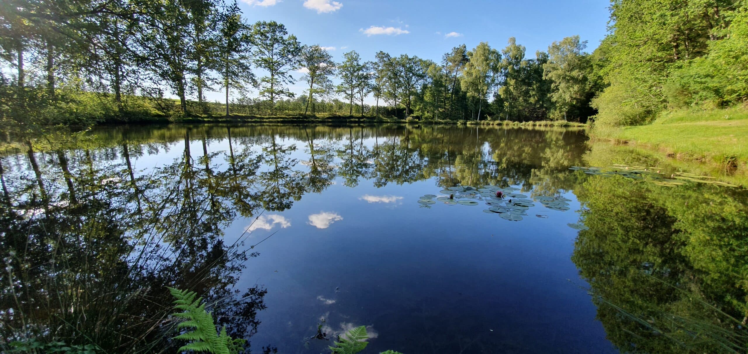 Deux étangs de pêche avec hébergement en Dordogne 