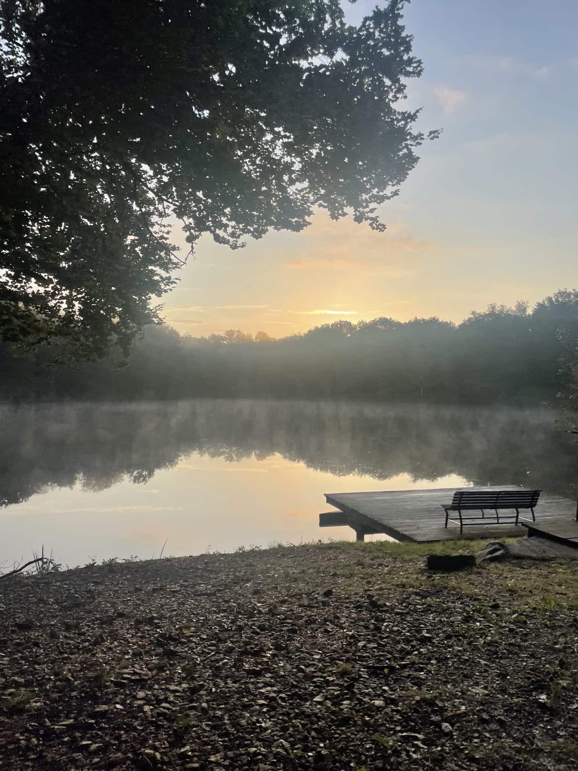 Étang au milieu de la forêt avec chalet 