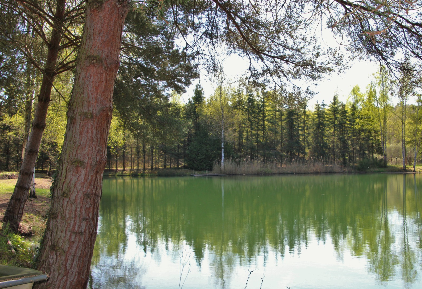 Étang à louer dans les Hauts-de-France