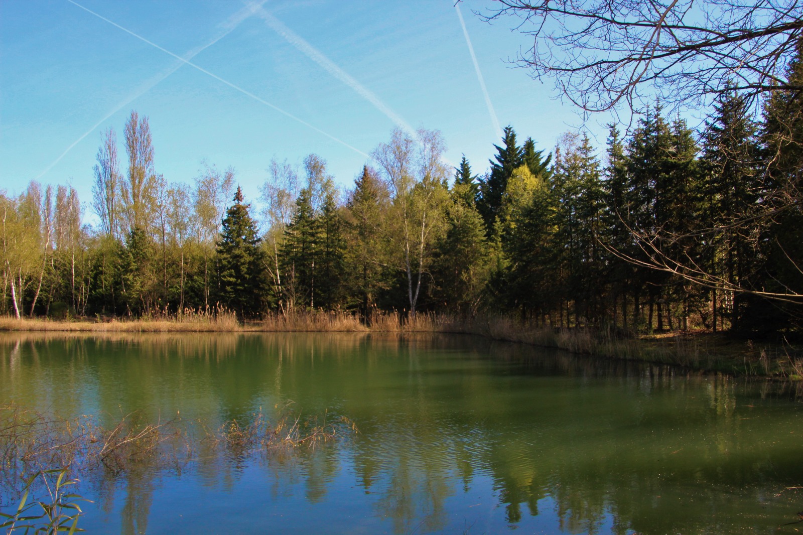 Étang à louer dans les Hauts-de-France