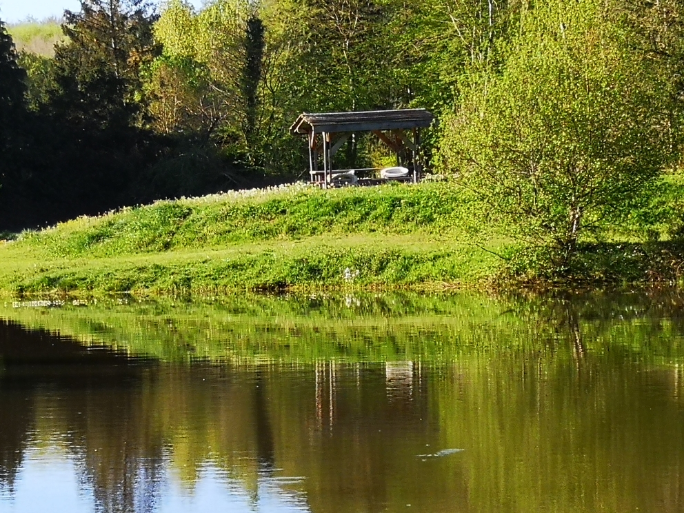 Havre de paix pour les pêcheurs et les amoureux de la nature 