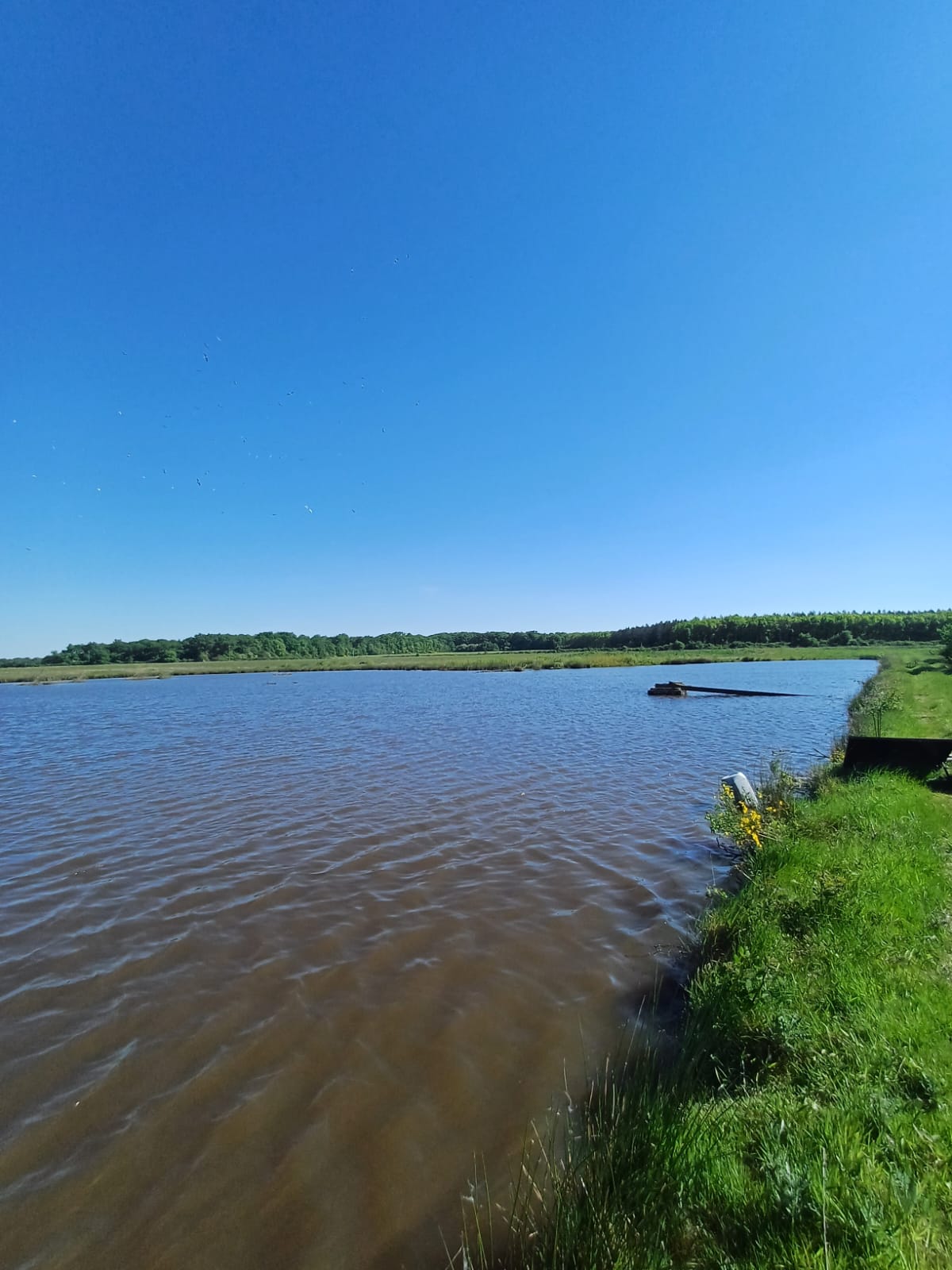 Location étang de 12ha + un étang de 2ha pour la pêche 