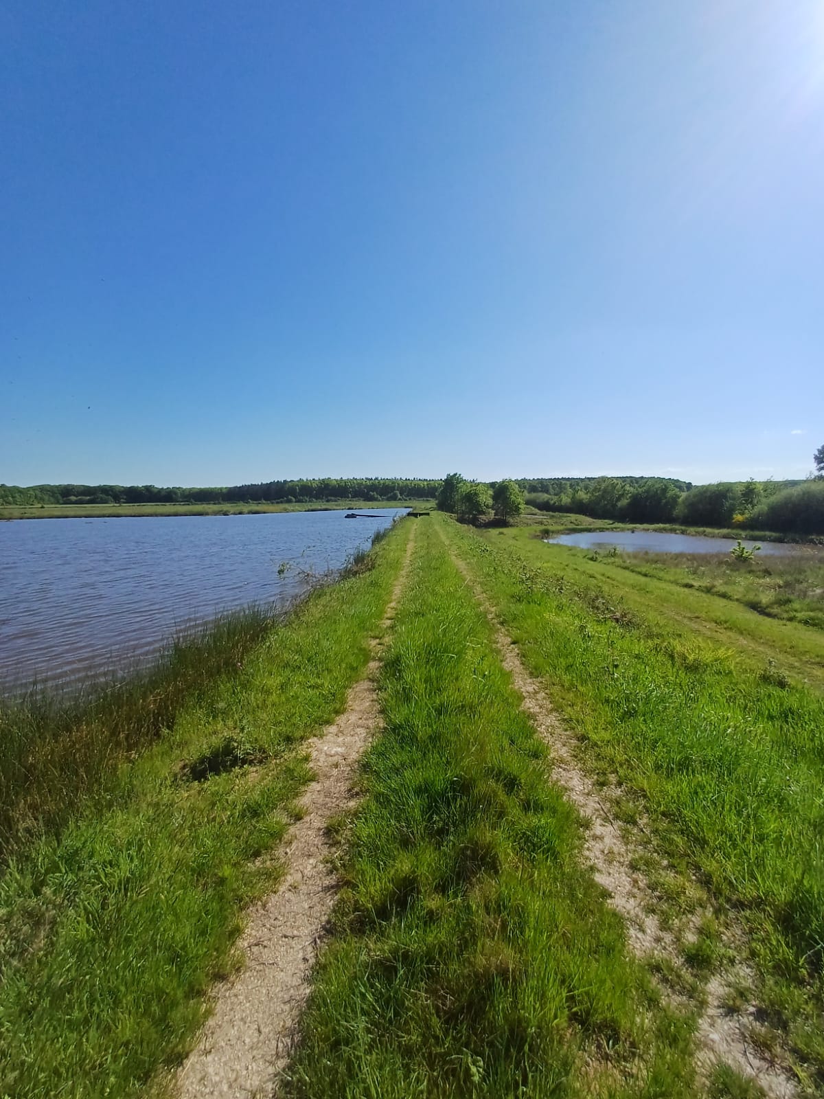 Location étang de 12ha + un étang de 2ha pour la pêche 