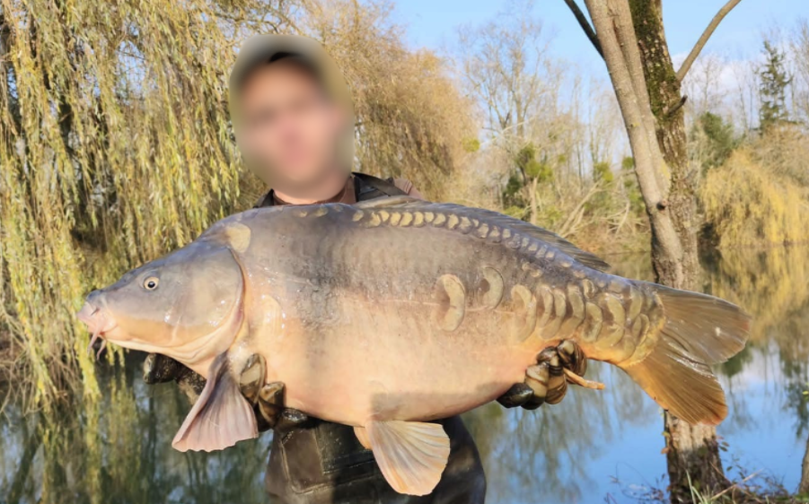 Location d'un chalet avec un étang de 1.2ha à côté de Troyes 