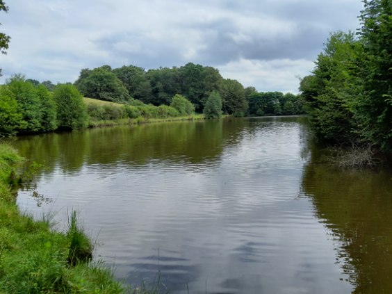 Etang à louer de 1.5ha avec une cabane de pêche