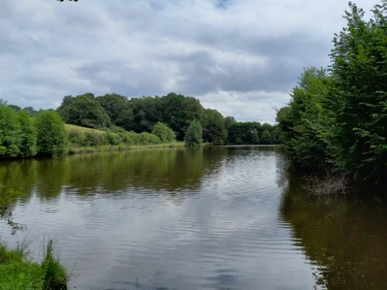 Etang à louer de 1.5ha avec une cabane de pêche