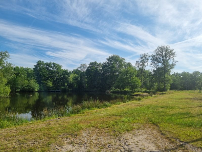Etang aux portes de la Sologne 
