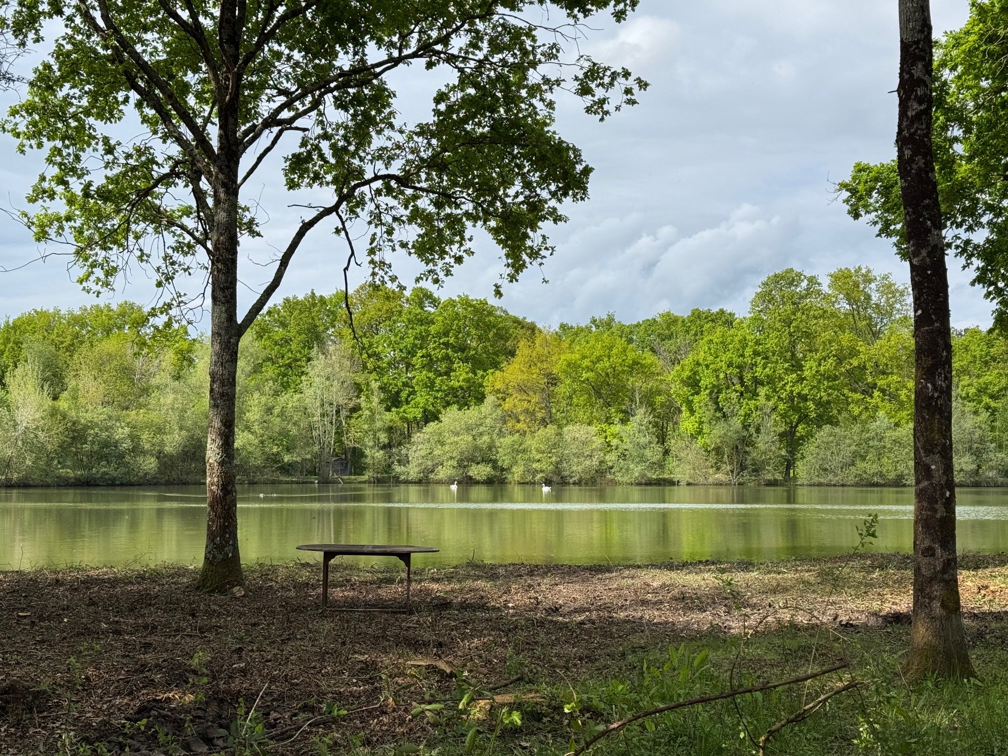 Location étang de 2.5ha en Sologne pêche du brochet 