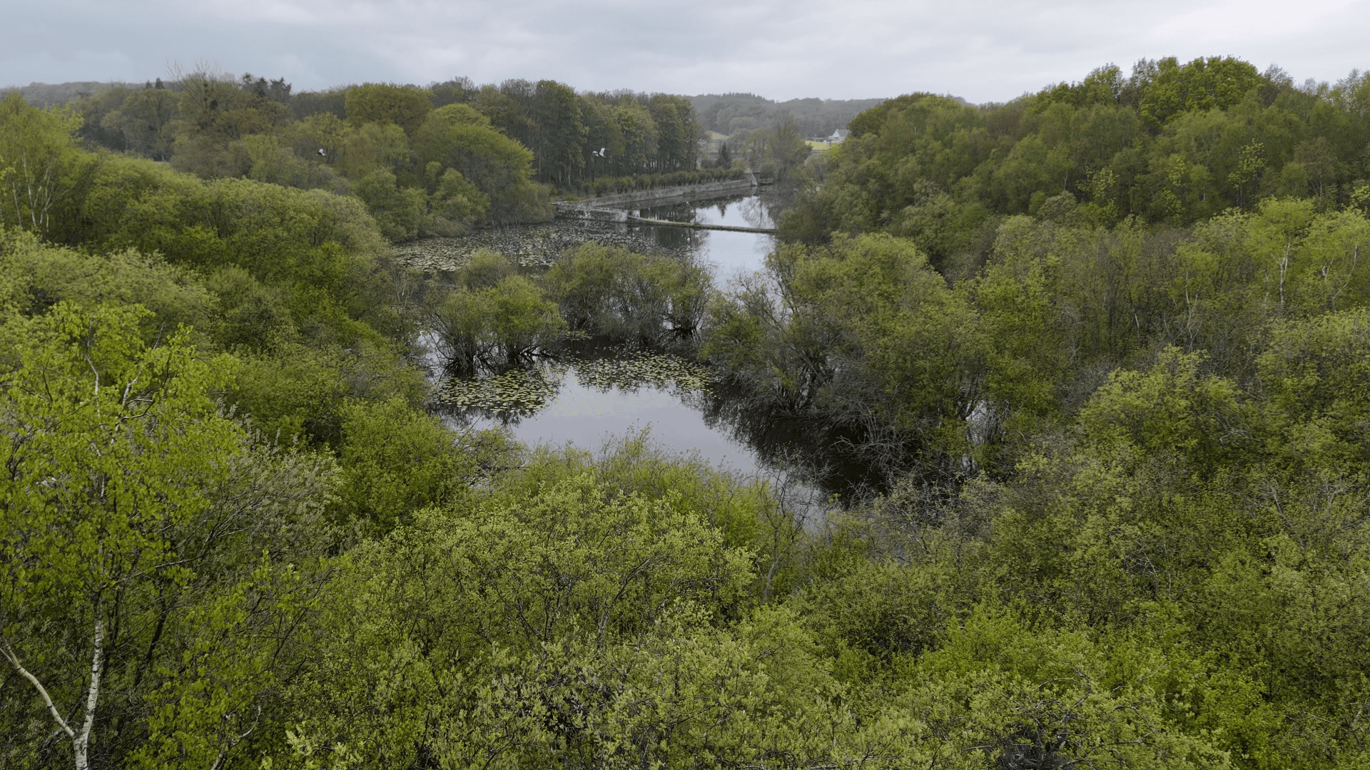 Etang de 20ha avec cabane perchée sur l’eau 