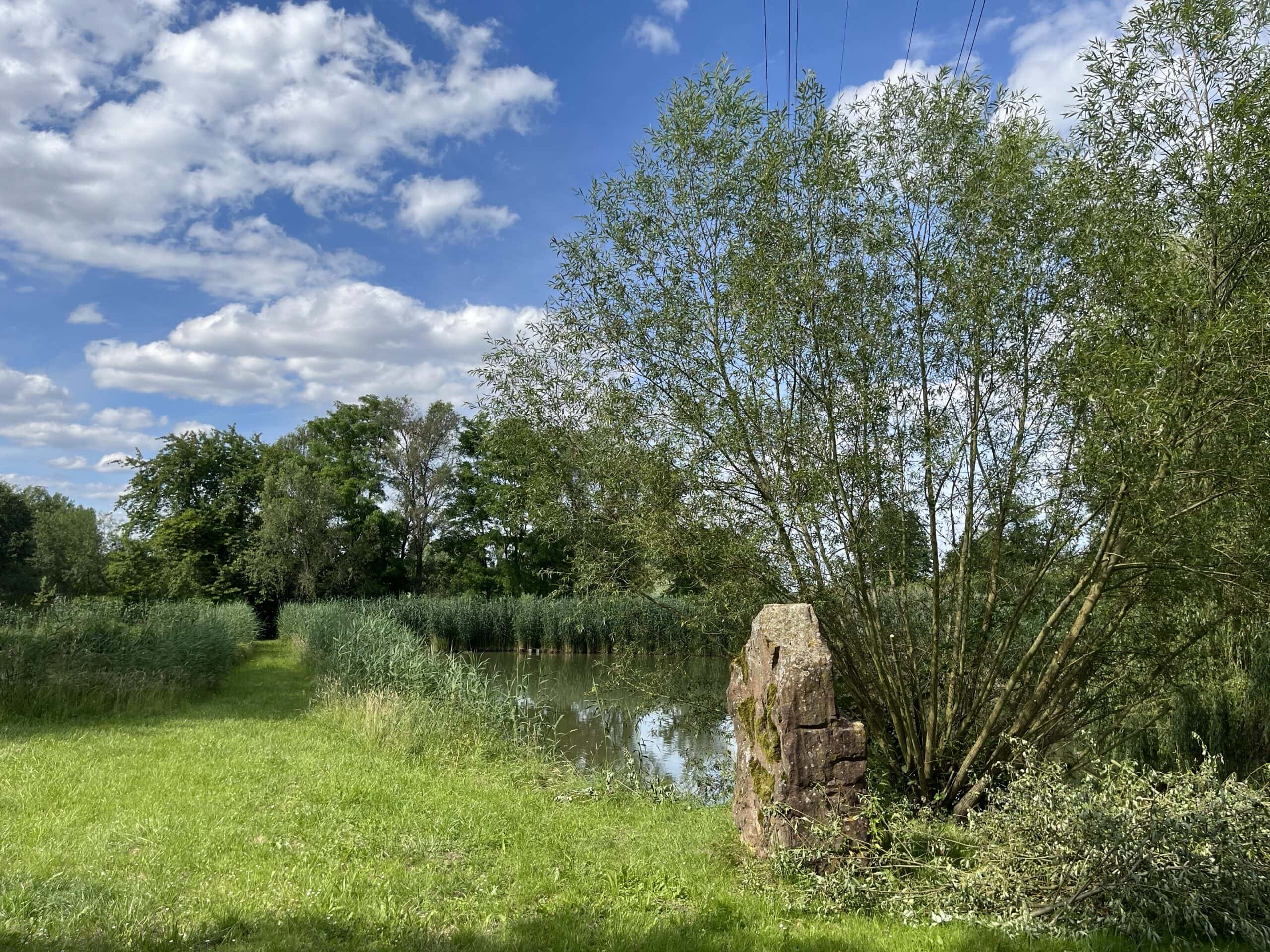 Etang à louer en Alsace de 1.5ha, l’endroit pour faire une belle fête de famille 