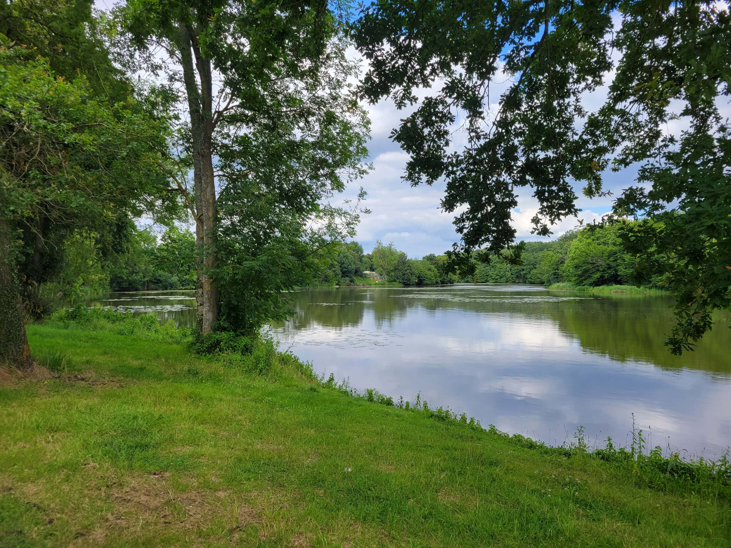Gite détente au jardin  en pleine nature avec étang de 9 hectares 